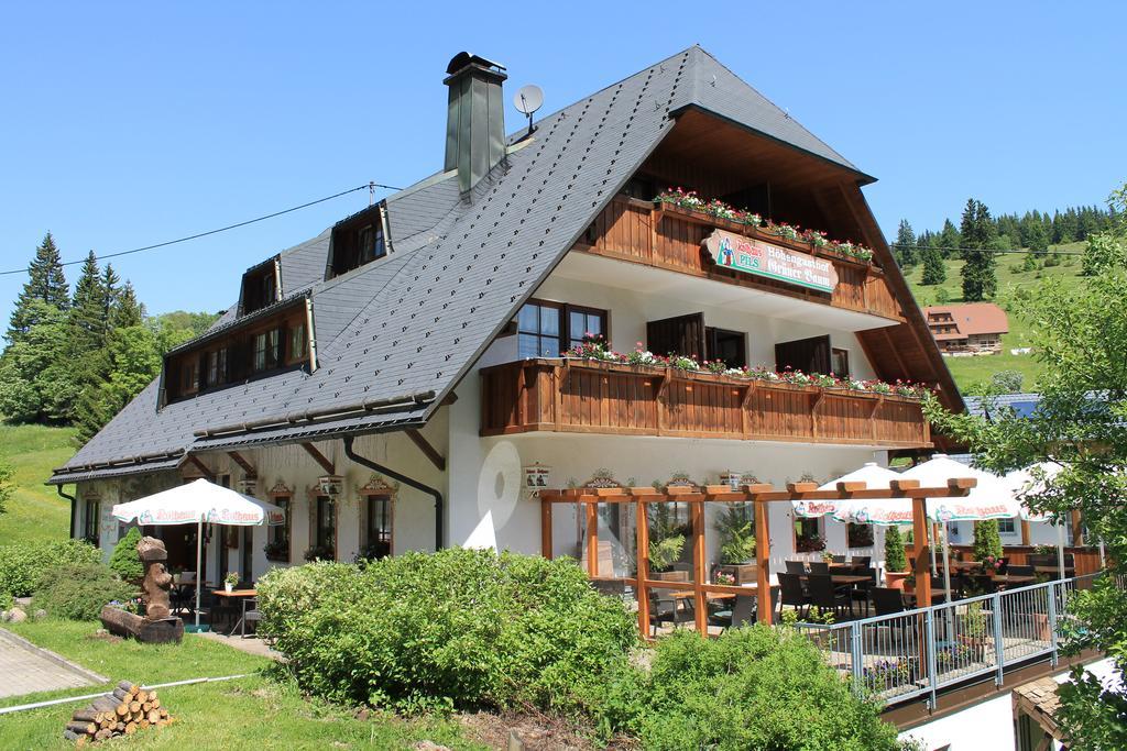 Hotel & Restaurant Gruener Baum - Die Gruene Oase Am Feldberg Feldberg  Luaran gambar