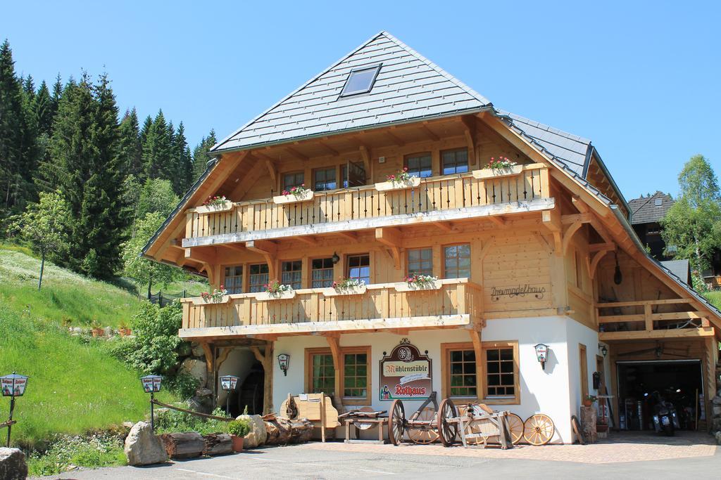 Hotel & Restaurant Gruener Baum - Die Gruene Oase Am Feldberg Feldberg  Luaran gambar